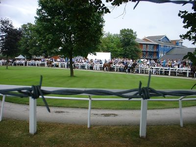 A day at the races with Thom - Ron and Steve

