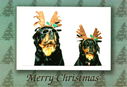 A_Cristmas_Message_From_Leanne_And_Mike_Nz_02.Jpg