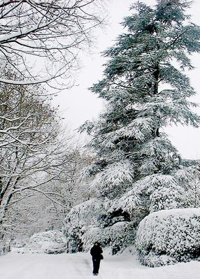  Christmas At The Lakes  73
