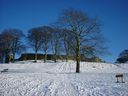 Filename=_Christmas_At_The_Lakes__115.JPG
Filesize=78KiB
Dimensions=640x480
Date added=Jul 11, 2021 _Christmas_At_The_Lakes__115.JPG