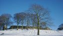 Filename=_Christmas_At_The_Lakes__116.JPG
Filesize=56KiB
Dimensions=639x369
Date added=Jul 11, 2021 _Christmas_At_The_Lakes__116.JPG