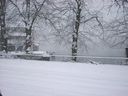 Filename=_Christmas_At_The_Lakes__49.JPG
Filesize=251KiB
Dimensions=1280x960
Date added=Jul 11, 2021 _Christmas_At_The_Lakes__49.JPG