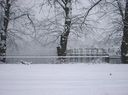 Filename=_Christmas_At_The_Lakes__51.JPG
Filesize=212KiB
Dimensions=1235x918
Date added=Jul 11, 2021 _Christmas_At_The_Lakes__51.JPG