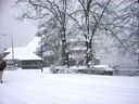 Filename=_Christmas_At_The_Lakes__52.JPG
Filesize=279KiB
Dimensions=1280x960
Date added=Jul 11, 2021 _Christmas_At_The_Lakes__52.JPG