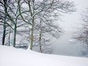 _Christmas_At_The_Lakes__54.JPG
