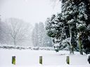 _Christmas_At_The_Lakes__56.JPG