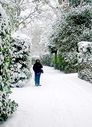 Filename=_Christmas_At_The_Lakes__62.JPG
Filesize=167KiB
Dimensions=640x882
Date added=Jul 11, 2021 _Christmas_At_The_Lakes__62.JPG