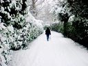 Filename=_Christmas_At_The_Lakes__63.JPG
Filesize=289KiB
Dimensions=1280x960
Date added=Jul 11, 2021 _Christmas_At_The_Lakes__63.JPG