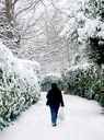Filename=_Christmas_At_The_Lakes__64.JPG
Filesize=97KiB
Dimensions=474x638
Date added=Jul 11, 2021 _Christmas_At_The_Lakes__64.JPG