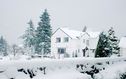 Filename=_Christmas_At_The_Lakes__66.JPG
Filesize=115KiB
Dimensions=1114x696
Date added=Jul 11, 2021 _Christmas_At_The_Lakes__66.JPG