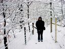 Filename=_Christmas_At_The_Lakes__67.JPG
Filesize=327KiB
Dimensions=1280x960
Date added=Jul 11, 2021 _Christmas_At_The_Lakes__67.JPG