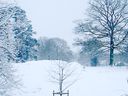 Filename=_Christmas_At_The_Lakes__69.JPG
Filesize=69KiB
Dimensions=640x480
Date added=Jul 11, 2021 _Christmas_At_The_Lakes__69.JPG