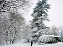 Filename=_Christmas_At_The_Lakes__72.JPG
Filesize=412KiB
Dimensions=1280x960
Date added=Jul 11, 2021 _Christmas_At_The_Lakes__72.JPG