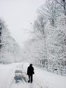 Filename=_Christmas_At_The_Lakes__75.JPG
Filesize=259KiB
Dimensions=960x1280
Date added=Jul 11, 2021 _Christmas_At_The_Lakes__75.JPG