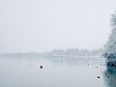 Filename=_Christmas_At_The_Lakes__80.JPG
Filesize=18KiB
Dimensions=640x480
Date added=Jul 11, 2021 _Christmas_At_The_Lakes__80.JPG