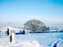 Filename=_Christmas_At_The_Lakes__90.JPG
Filesize=156KiB
Dimensions=1280x960
Date added=Jul 11, 2021 _Christmas_At_The_Lakes__90.JPG