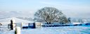 _Christmas_At_The_Lakes__91.JPG