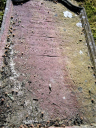 Filename=Gervase_Wood_-_1771.jpg
Filesize=140KiB
Dimensions=682x909
Date added=Sep 02, 2023 Gervase_Wood_-_1771.jpg